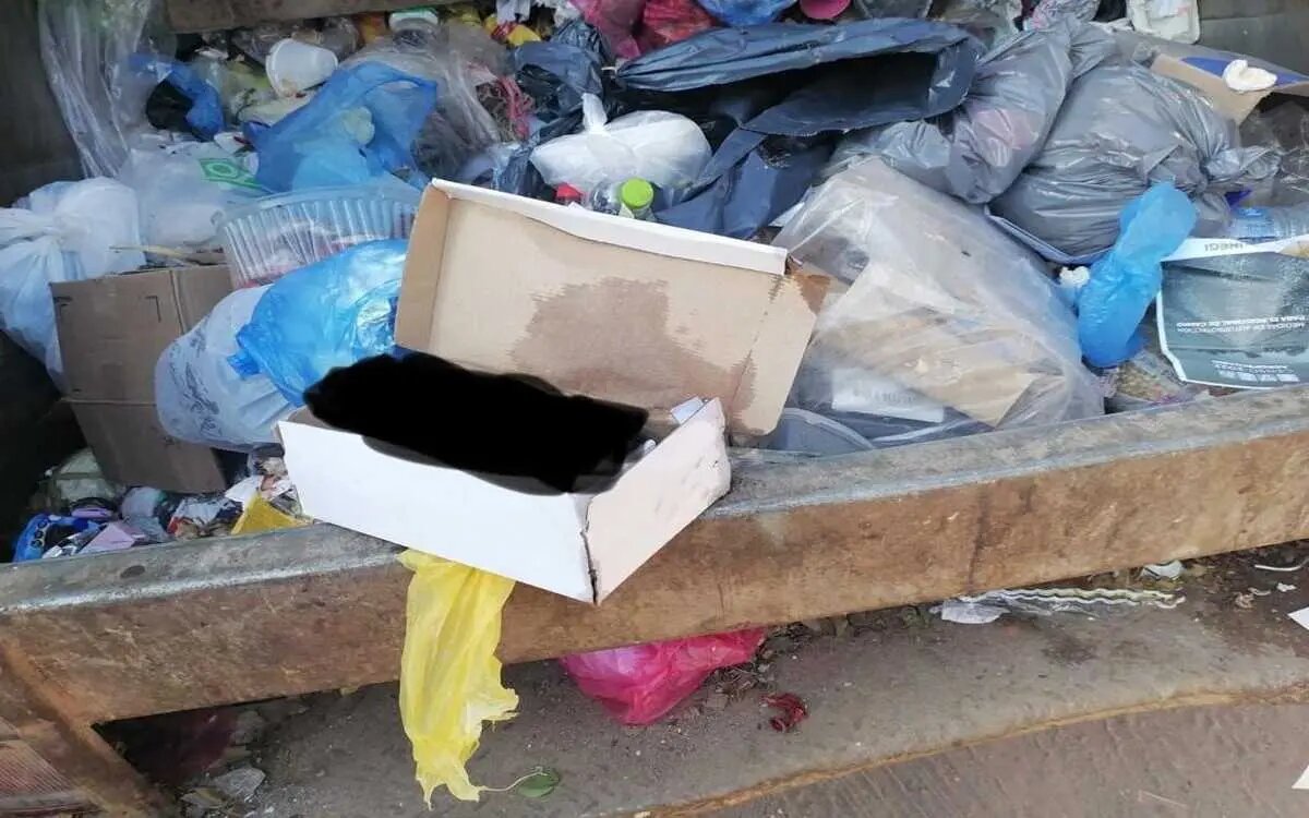 Encuentran el cadáver de un feto en camión de basura: Nayarit