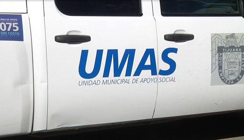 Brindan tres mil 192 atenciones por situaciones de crisis: UMAS