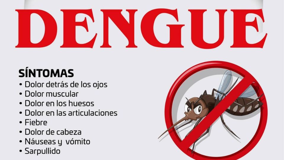 Van 14 casos de dengue clásico en Los Cabos