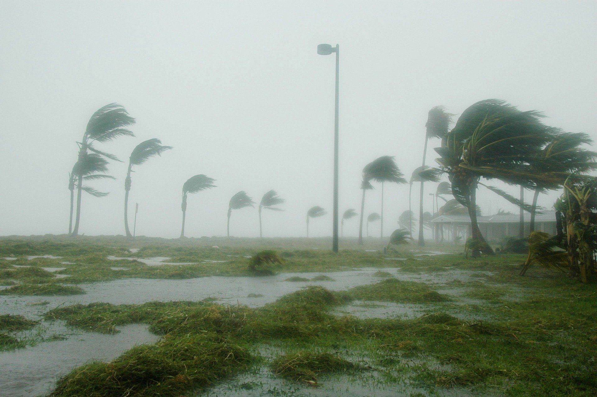 [VÍDEO] Florida inundada por el Huracán