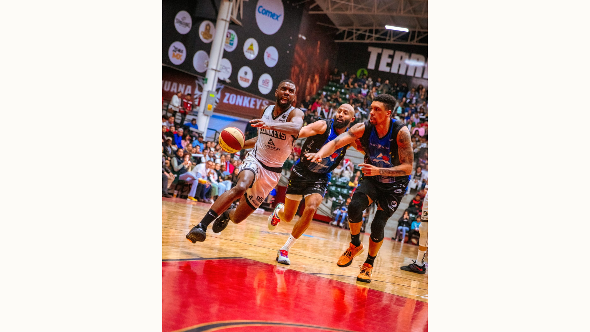 Zonkeys se instala en playoffs, tras barrida ante Astros IFOTO: Cortesía