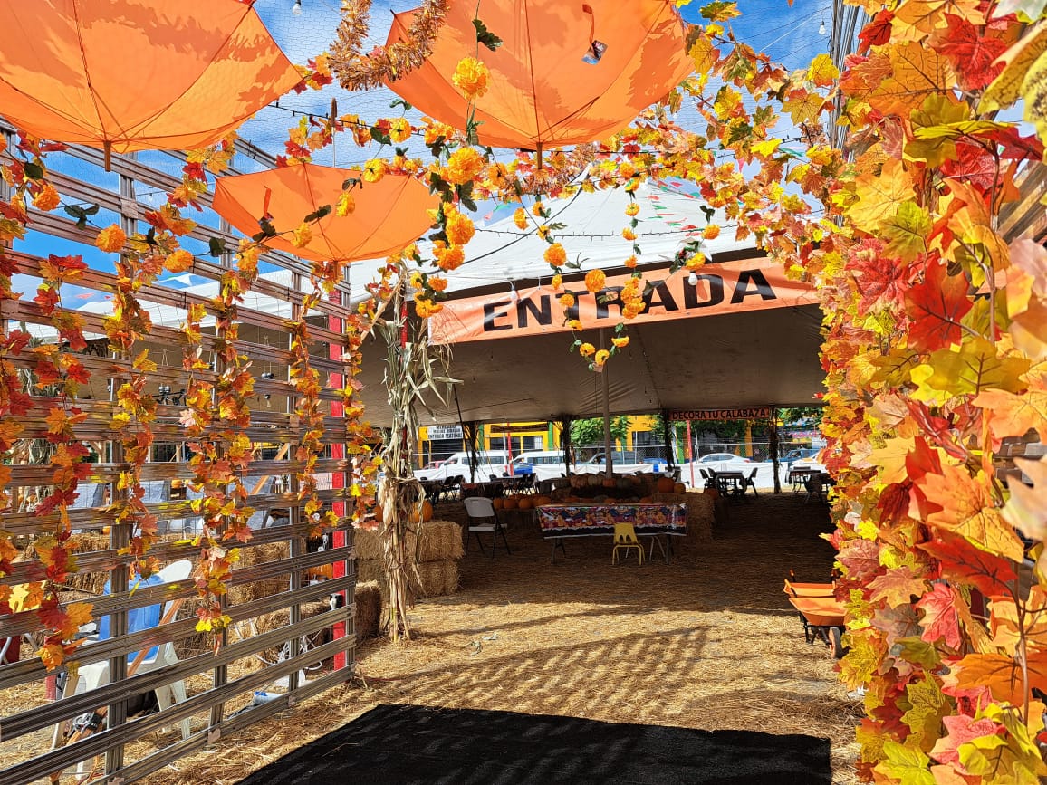 [VÍDEO] Inicia II Festival de la Calabaza en Tijuana