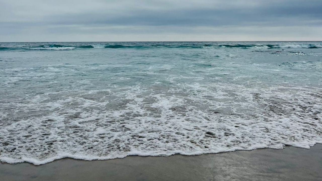 Playas de Tijuana representan un riesgo para la salud: Cofepris