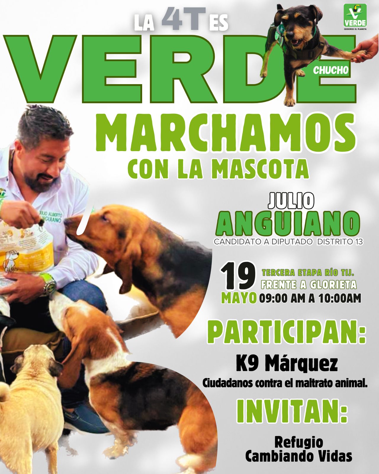 Marcharán en contra del maltrato animal