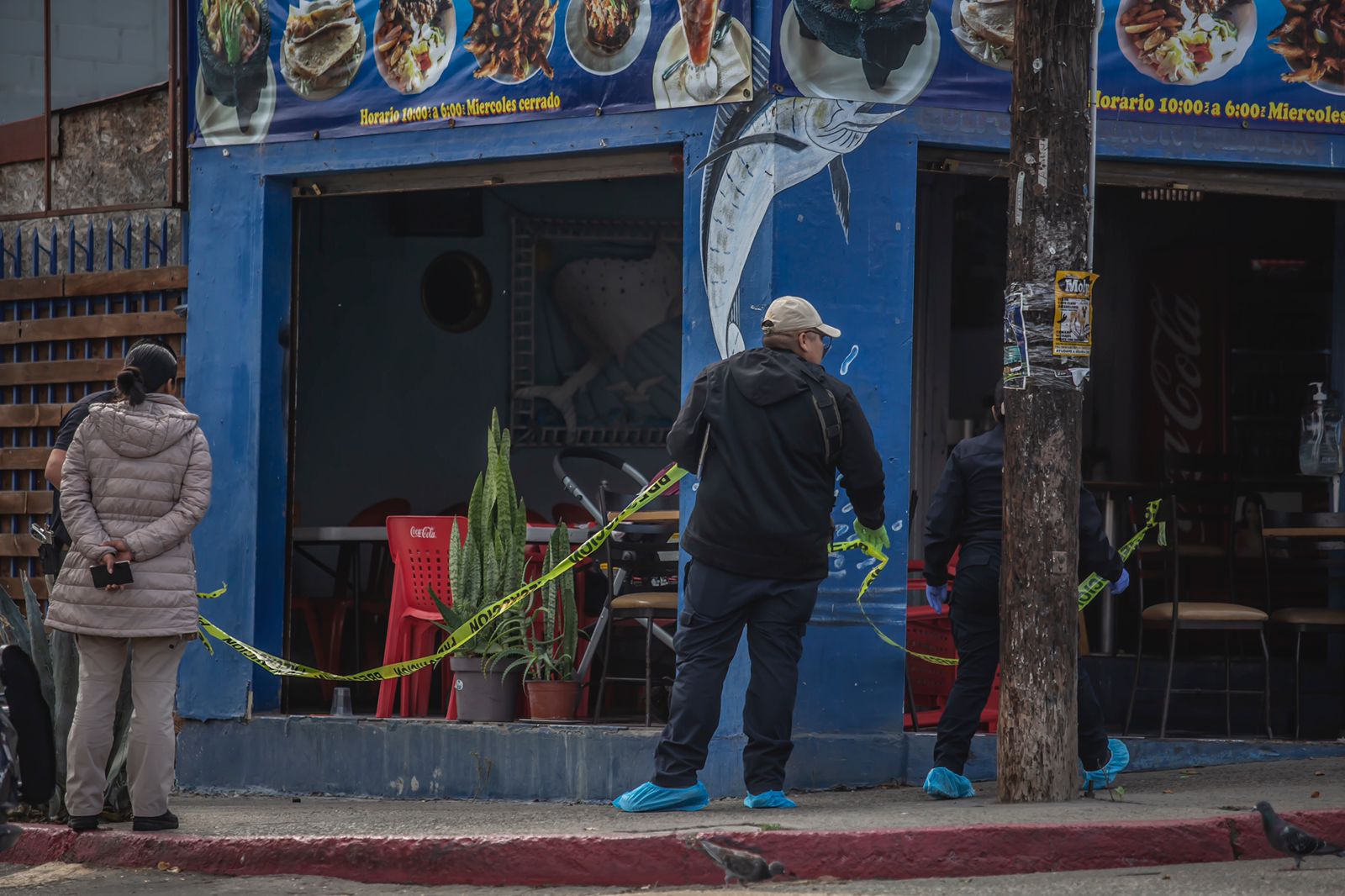 WhatsApp Image 2022-10-23 at 3.43.59 PM.jpeg