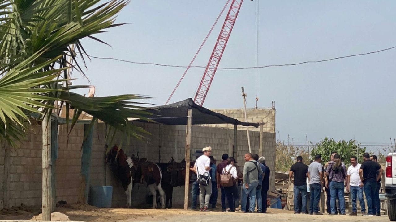 Denuncia Movimiento Animalista que inspección no mejoró condiciones de caballos en Ensenada