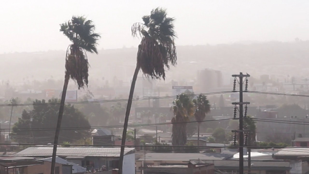 Pronostican fuertes vientos para el fin de semana en Tijuana