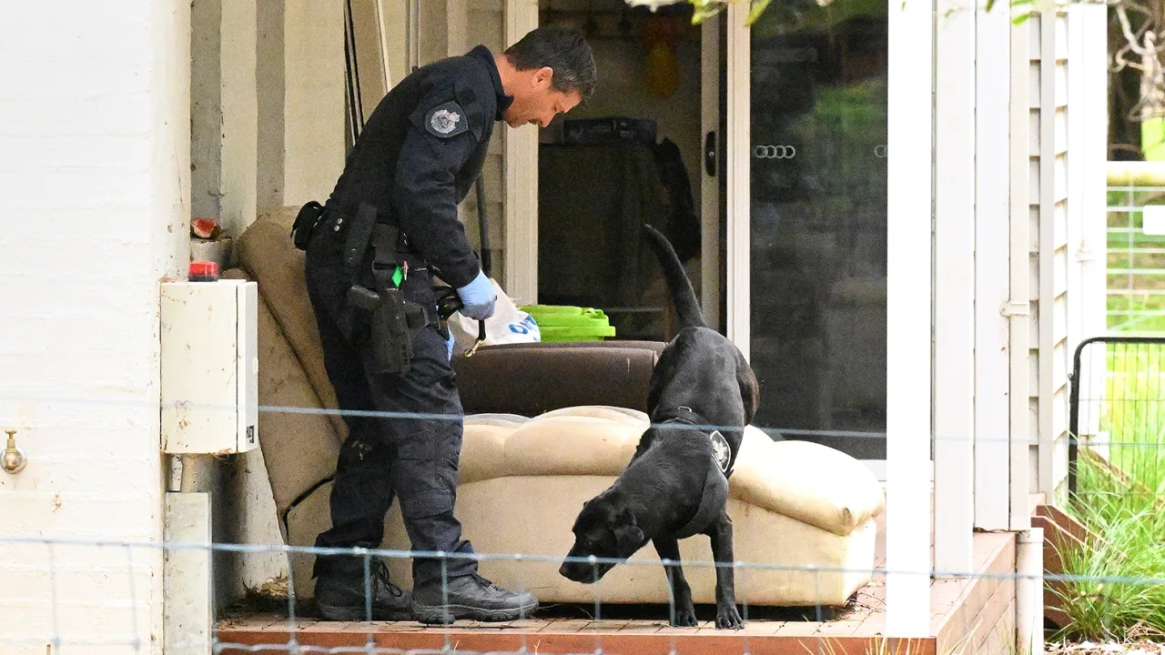 Unidad canina investigando la casa de la acusada IFOTO: James Ross/AP