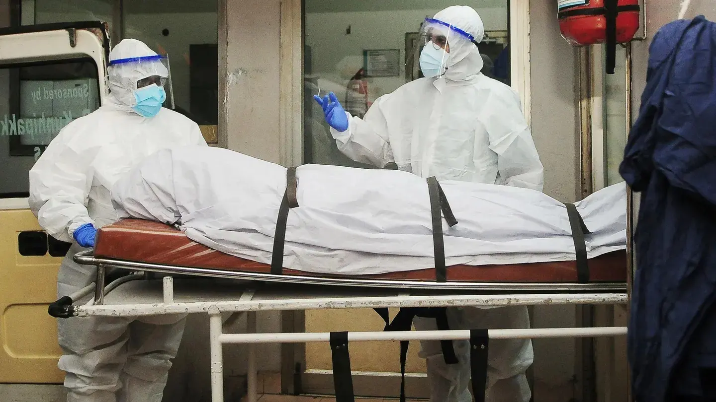 Virus “Nipah” ¿Nueva pandemia?