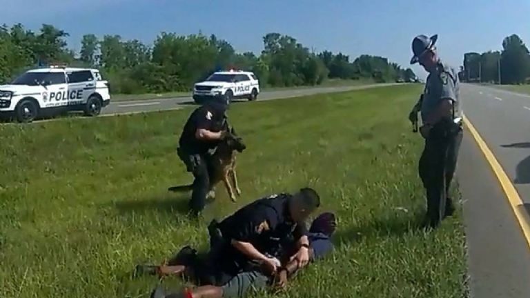 [SENSITIVE VIDEO]  Police dog attacks kneeling Afrodescendant: USA