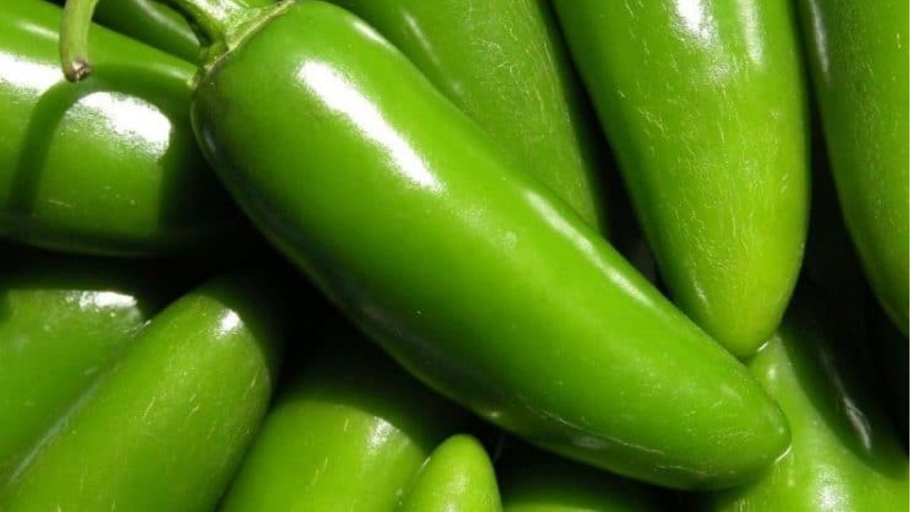 Alerta por brote de salmonela vinculado a jalapeños distribuidos desde San Diego