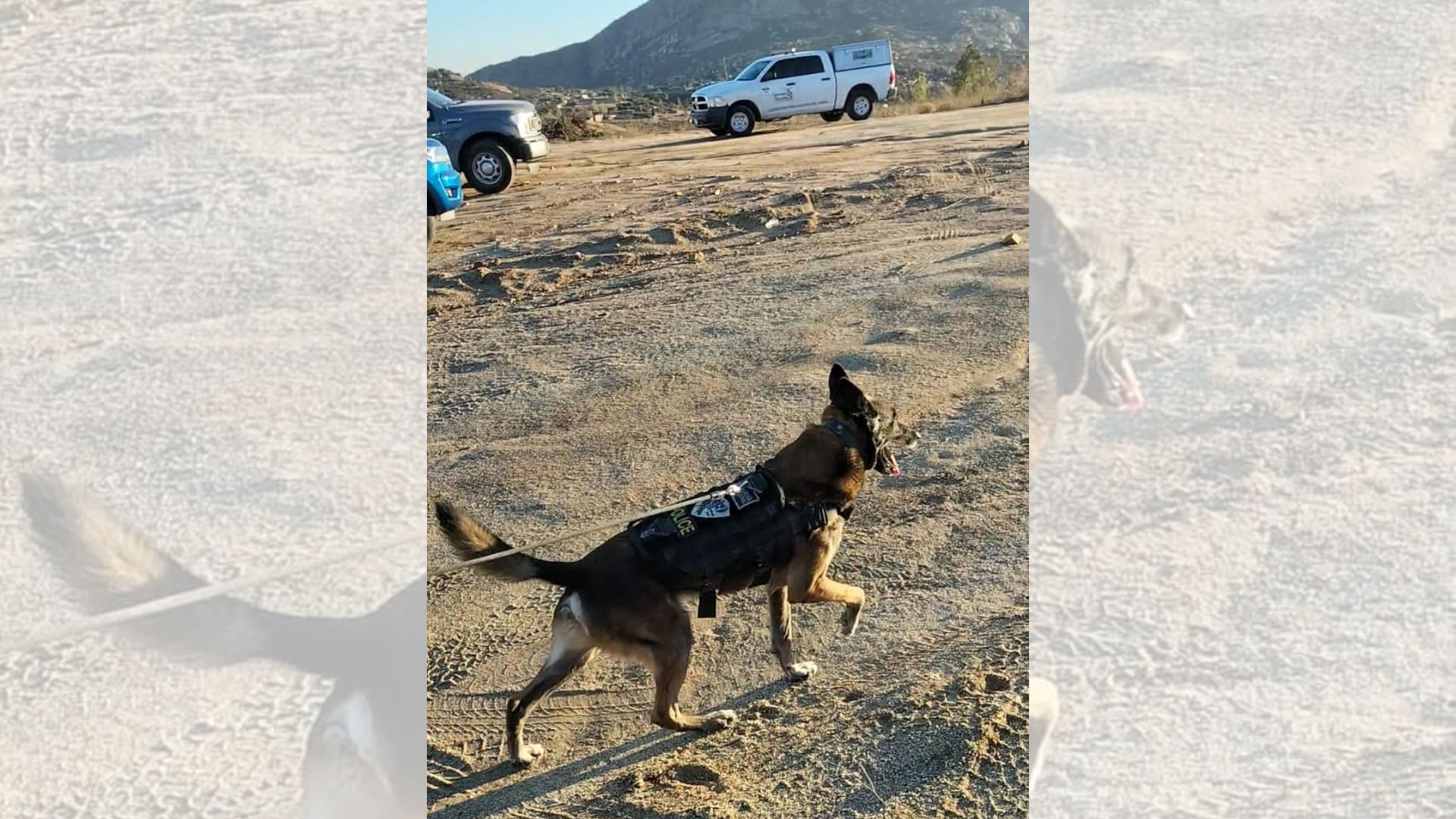 Localizan restos humanos en La Rumorosa