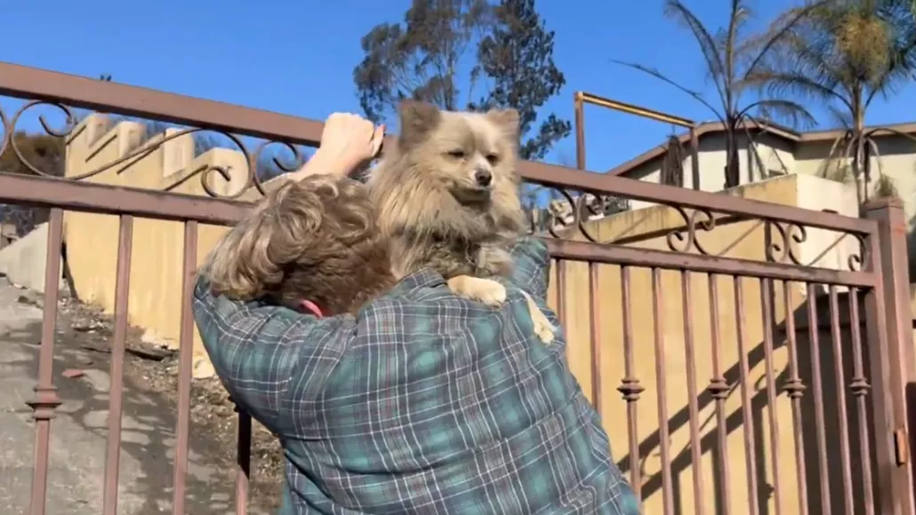 ¡Conmovedor!: Hombre se reencuentra con su perro, tras los incendios en California