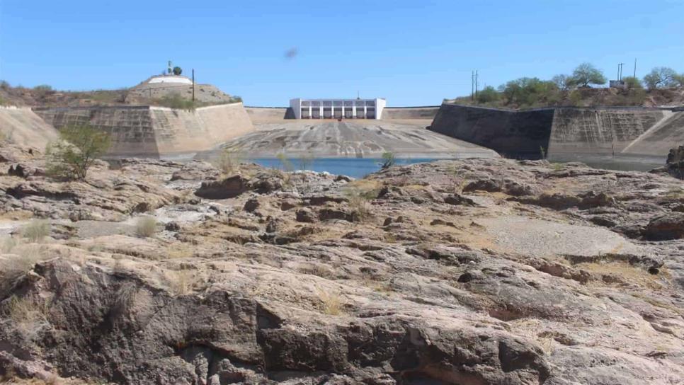 Panorama complicado para agricultores en Sinaloa