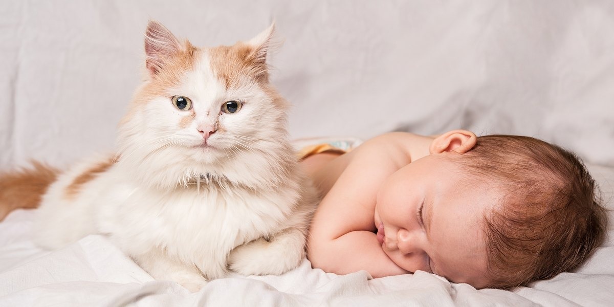 ¿Es peligroso que perros y gatos convivan con bebés?