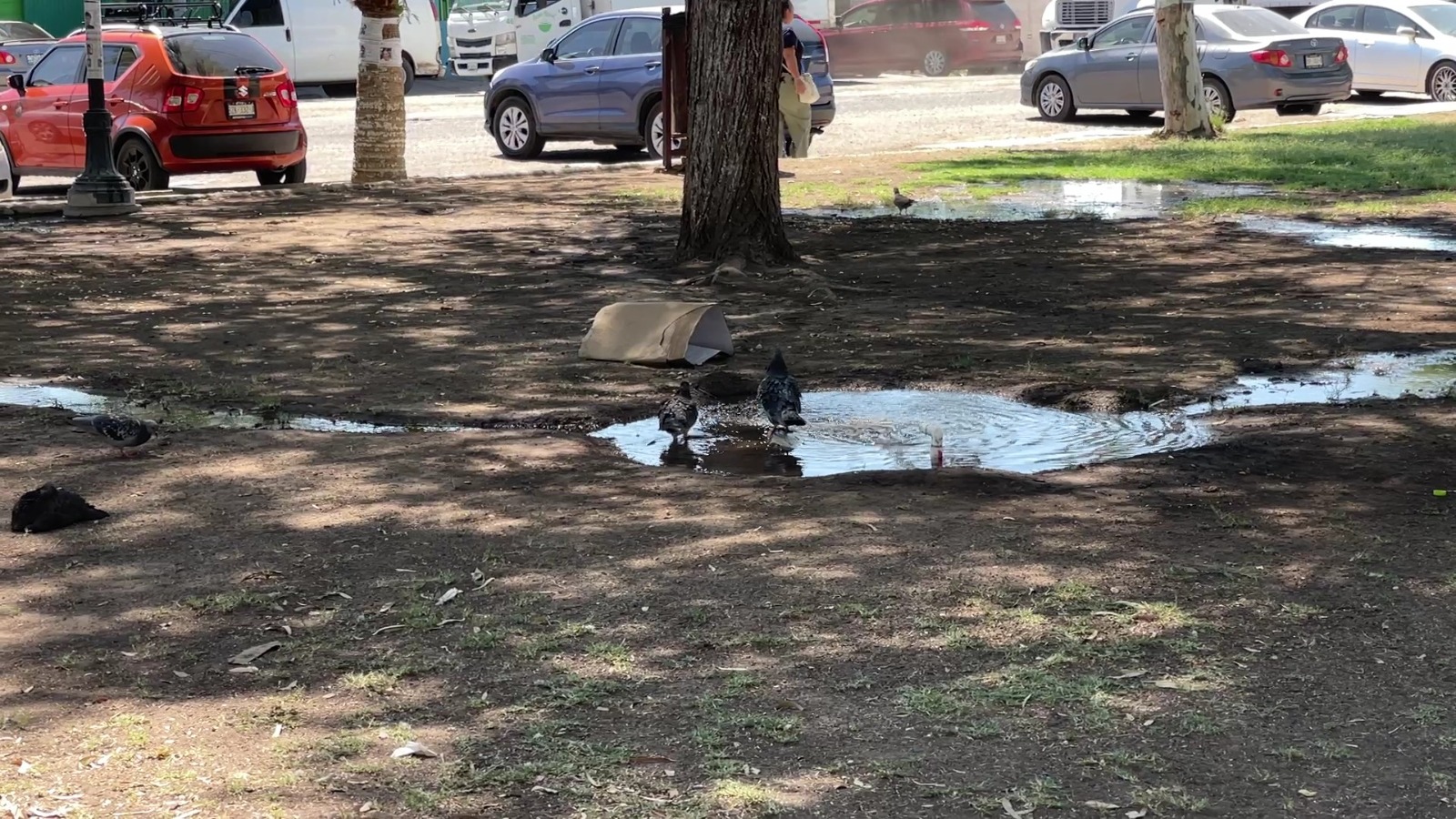 Nueva ola de calor llevará a Mexicali por encima de los 47 grados el fin de semana