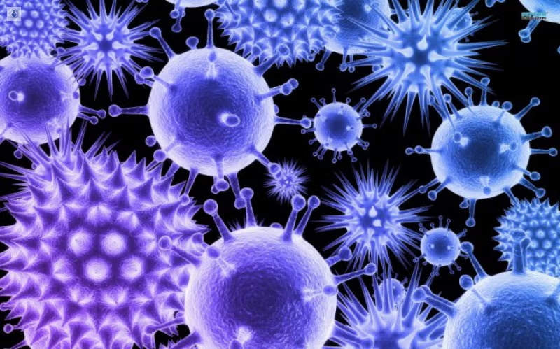 Consejos para fortalecer el sistema inmunológico