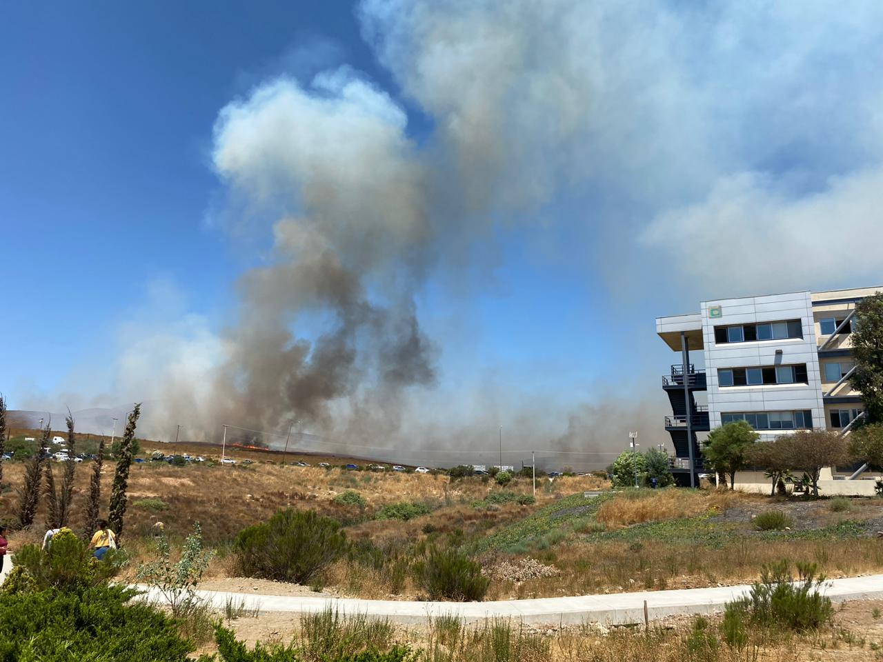 Evacúan UABC Valle de las Palmas por incendio forestal