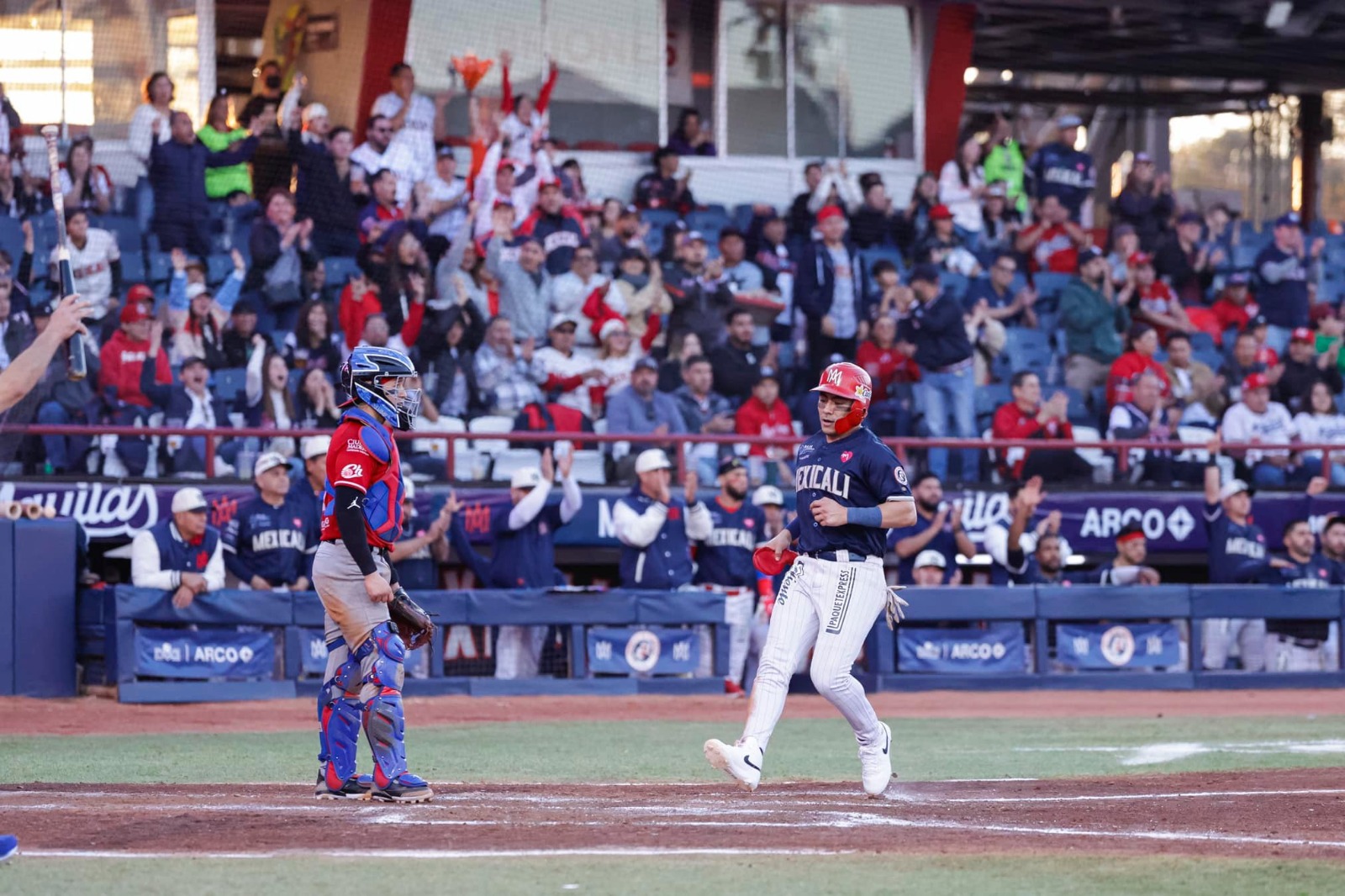 Águilas de Mexicali eliminados ¿Quién representará a México en la Serie del Caribe?