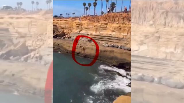 Adolescente resulta herido tras lanzarse desde acantilado en Sunset Cliffs
