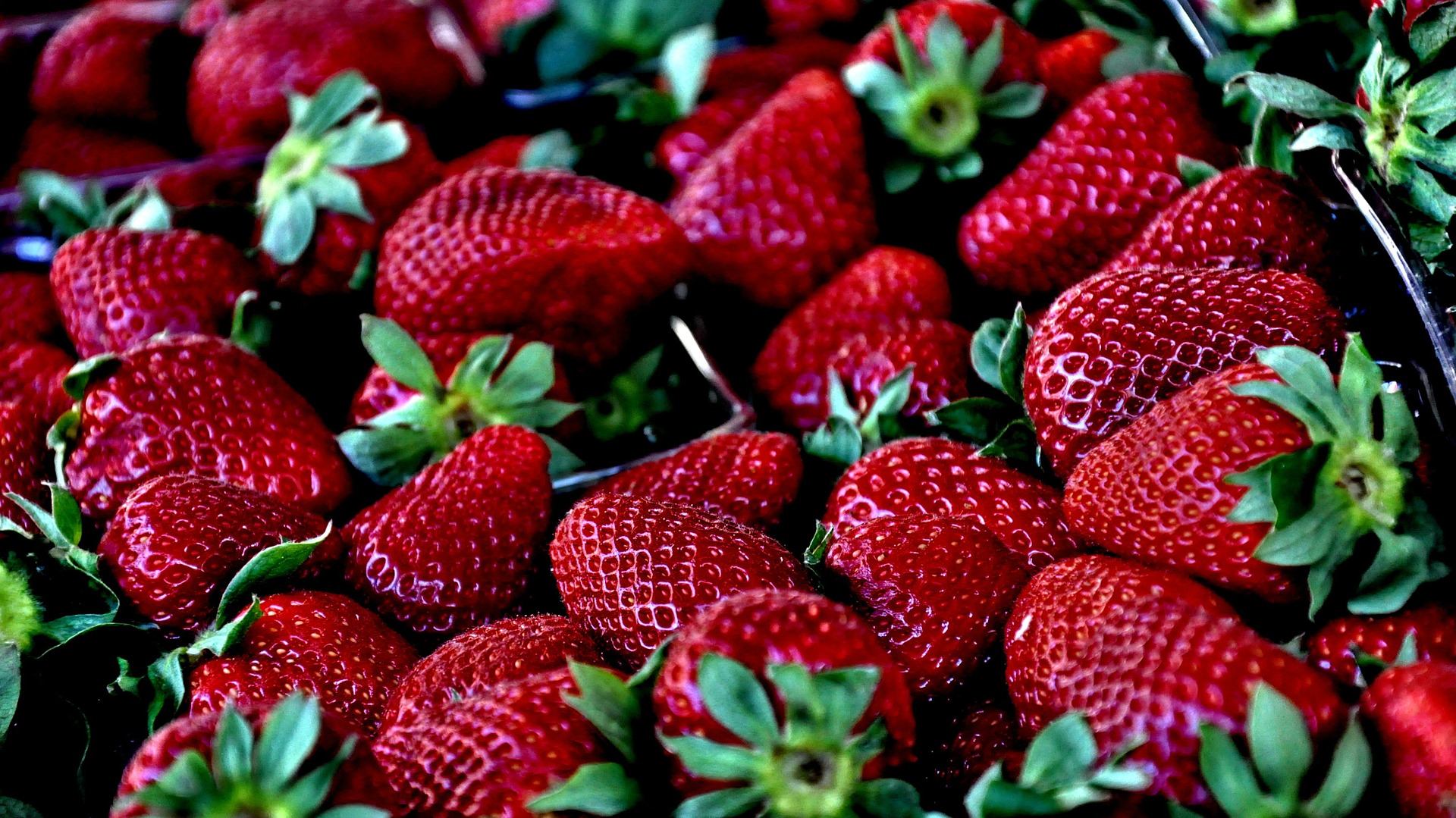 Strawberries from Baja California withdrawn in the US due to contamination