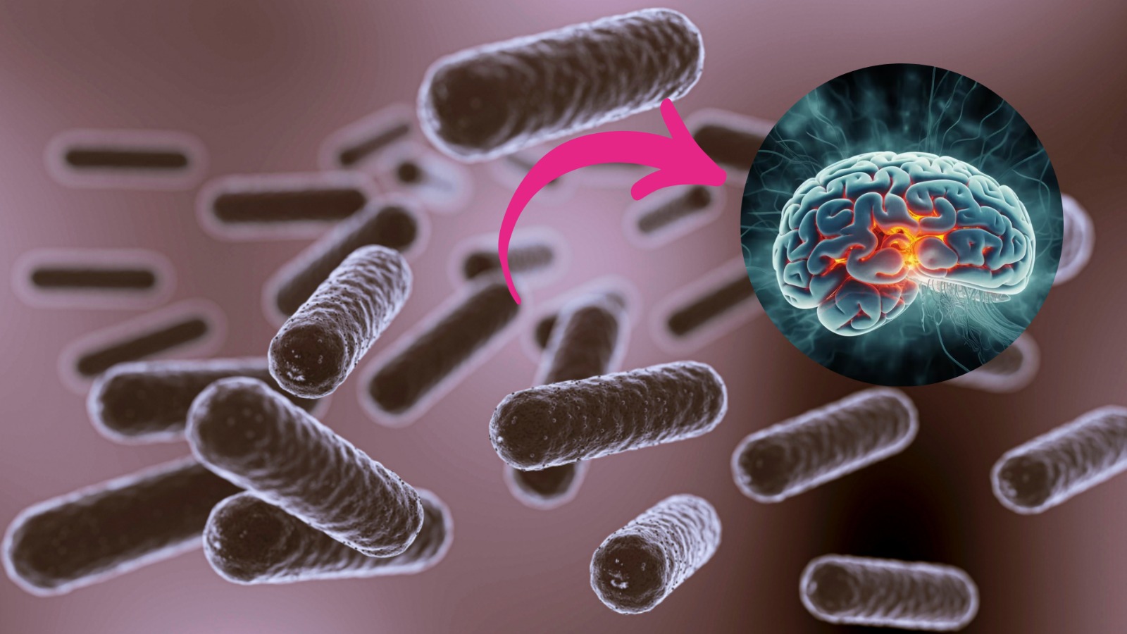 Nuestra microbiota intestinal podría desencadenar ansiedad social