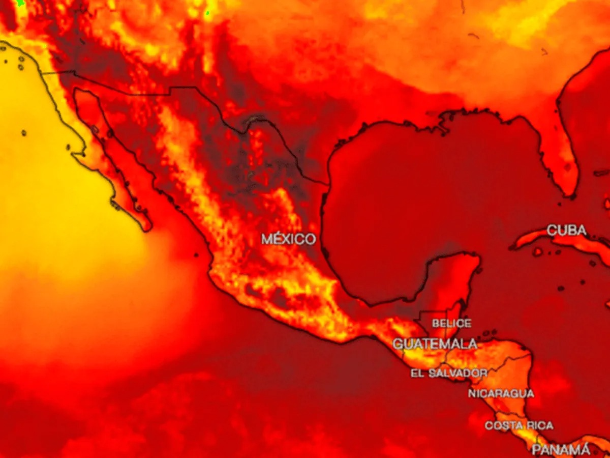 Azota ola de calor a México: Pronóstico