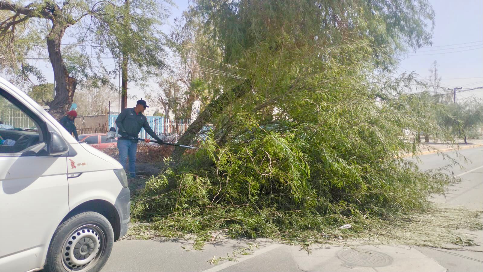 Fuertes vientos azotan Mexicali