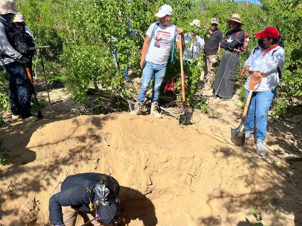 Encuentran fosa clandestina en “Pescadero”: La Paz