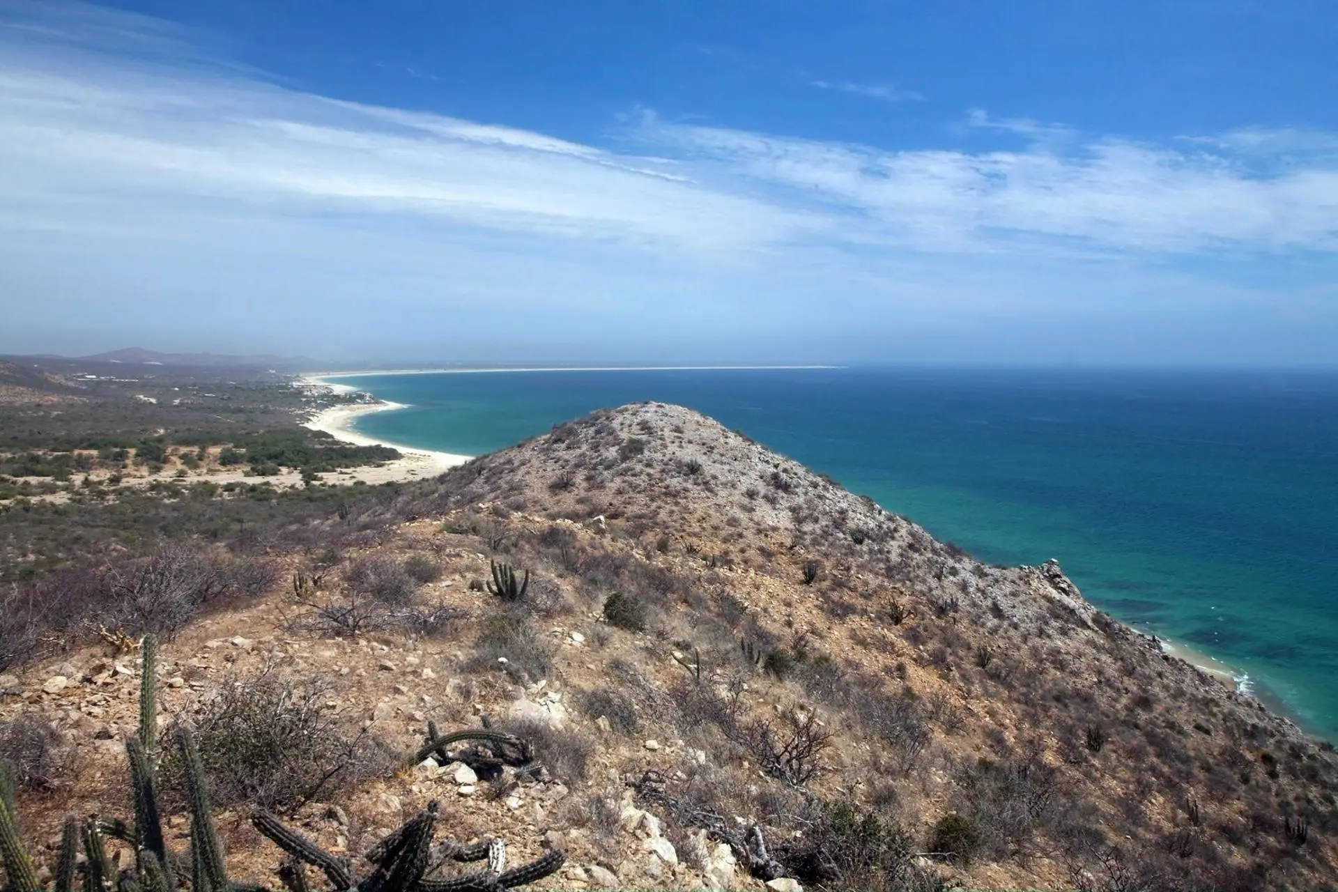 Denuncian impacto ambiental del proyecto Saguaro en el Golfo de California