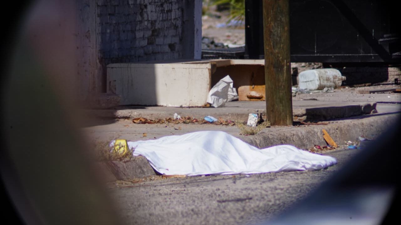 MEXICALI: Hallan a mujer sin vida; investigan presunto ataque de 17 perros