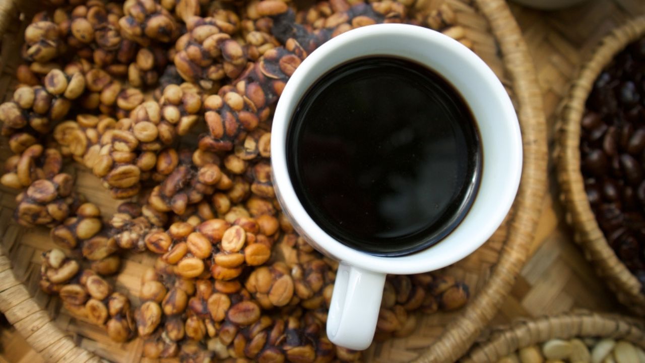 Del Geisha récord al Black Ivory: los cafés más caros del mundo