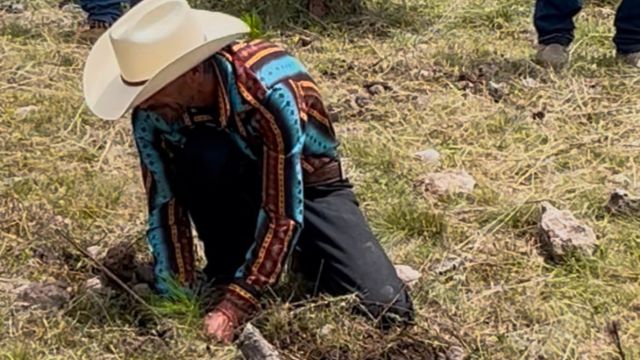 DURANGO: Reforestarán 27 municipios durante Jornada Nacional