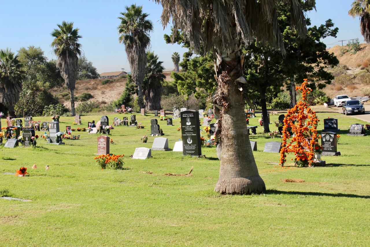 El Día de los Muertos en San Diego: Las flores de cempasúchil engalanan los cementerios