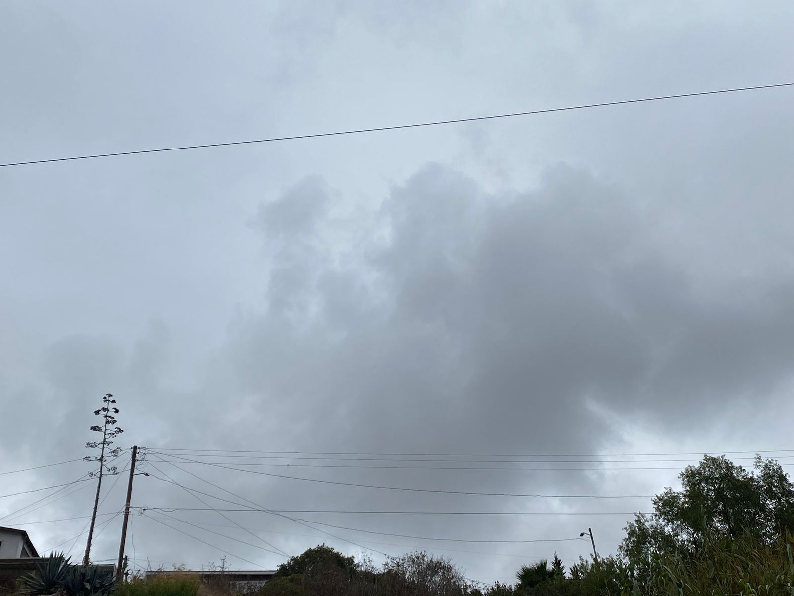 ¡Carga el paraguas! Lluvias ligeras continuarán hasta el mediodía: Tijuana