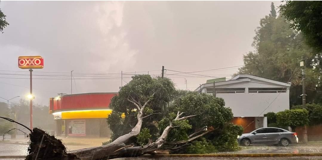 Lluvias en Puebla deja un menor muerto, daños materiales y árboles caídos