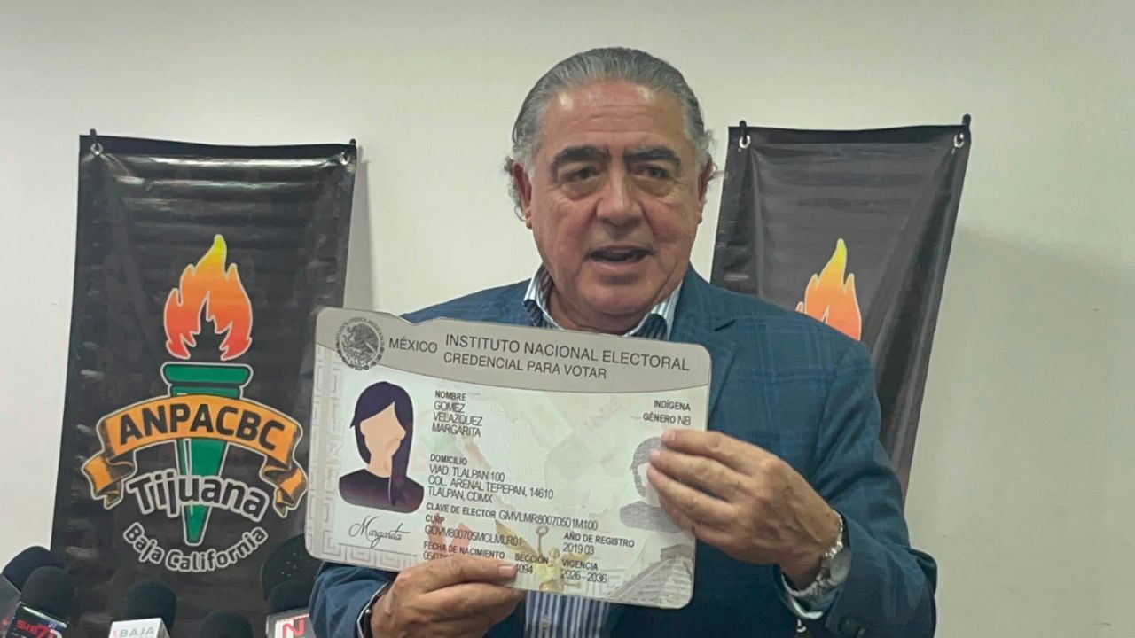 Así será la nueva credencial del INE: incluirá mejoras de accesibilidad e identidad
