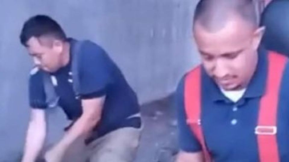 Difunden vídeo de bomberos matando  perros callejeros. I FOTO: WEB