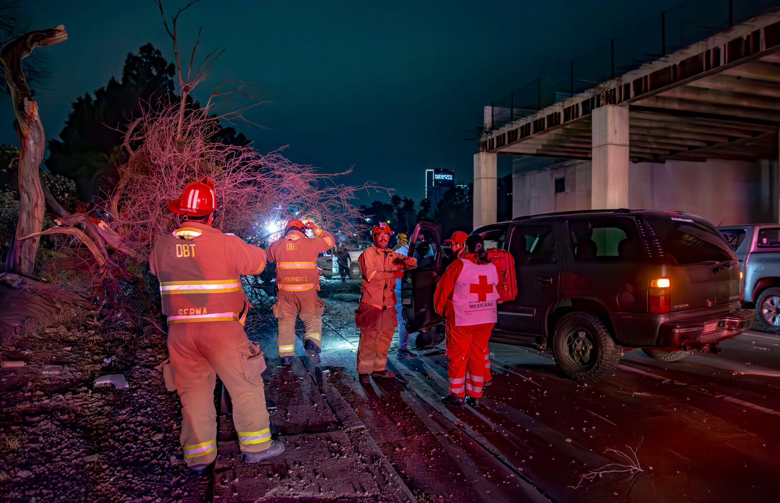 Choca conductor contra un árbol en la Vía Rápida