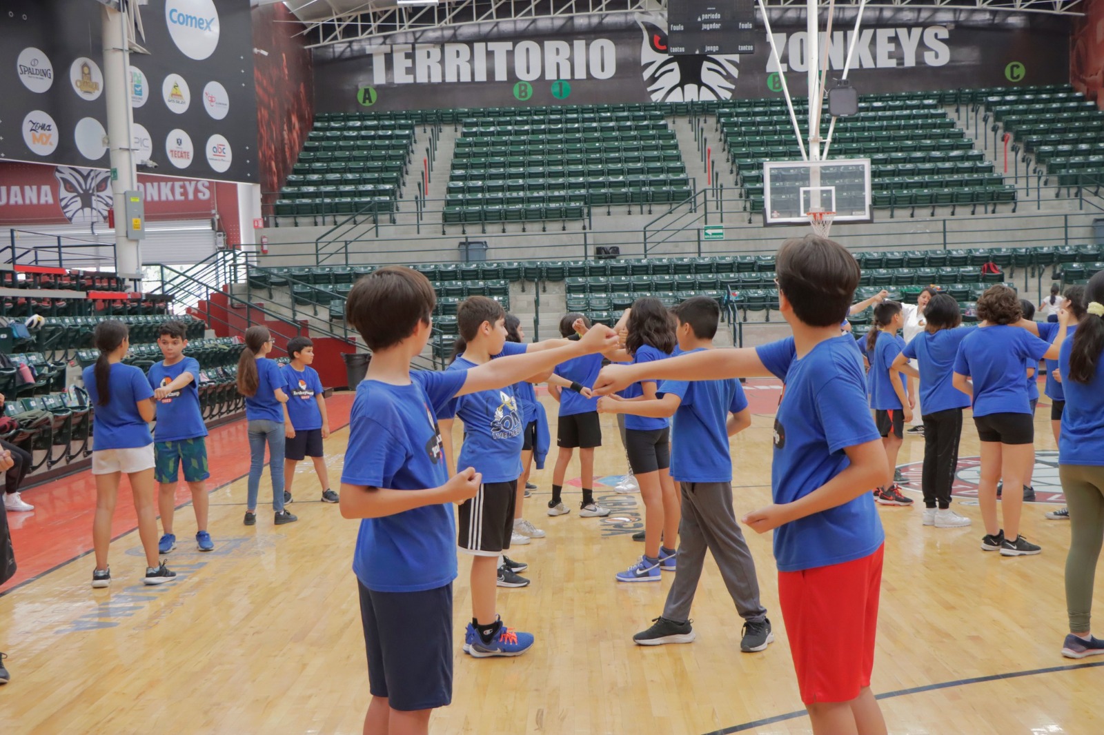 Confirma Zonkeys su Campamento de Verano 2024