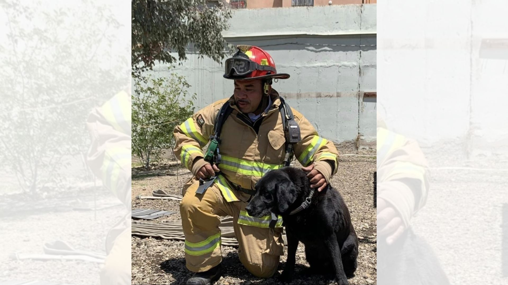 Pirotecnia causó que el perrito bombero Max se perdiera