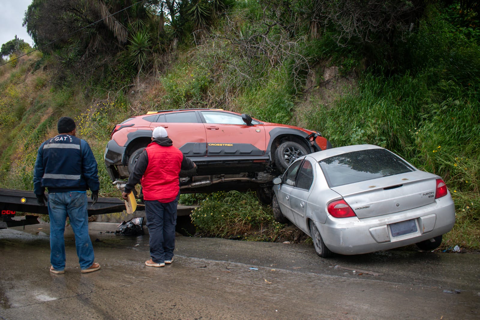 Foto: Border Zoom/Baja News