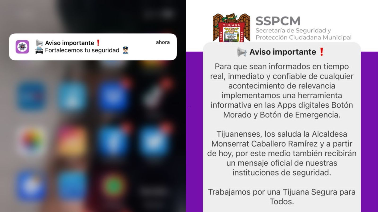 Ayuntamiento alertará mediante apps sobre incidentes en la ciudad