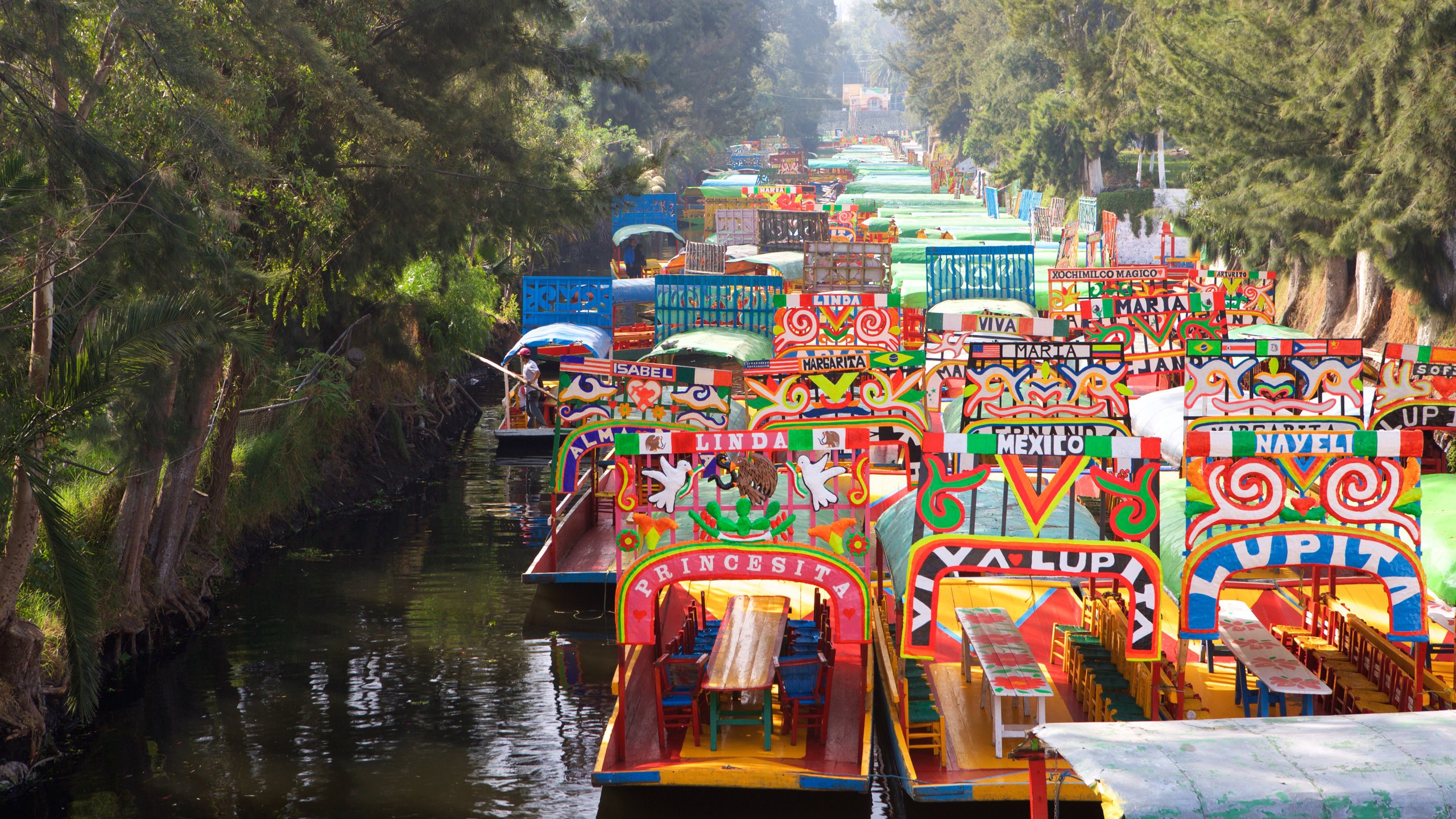 ¿La ley seca en Xochimilco afectará el turismo de las trajineras?