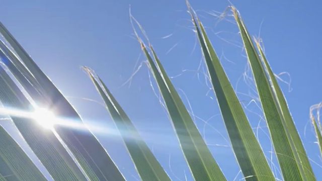Suman 34 muertes por golpe de calor en Baja California