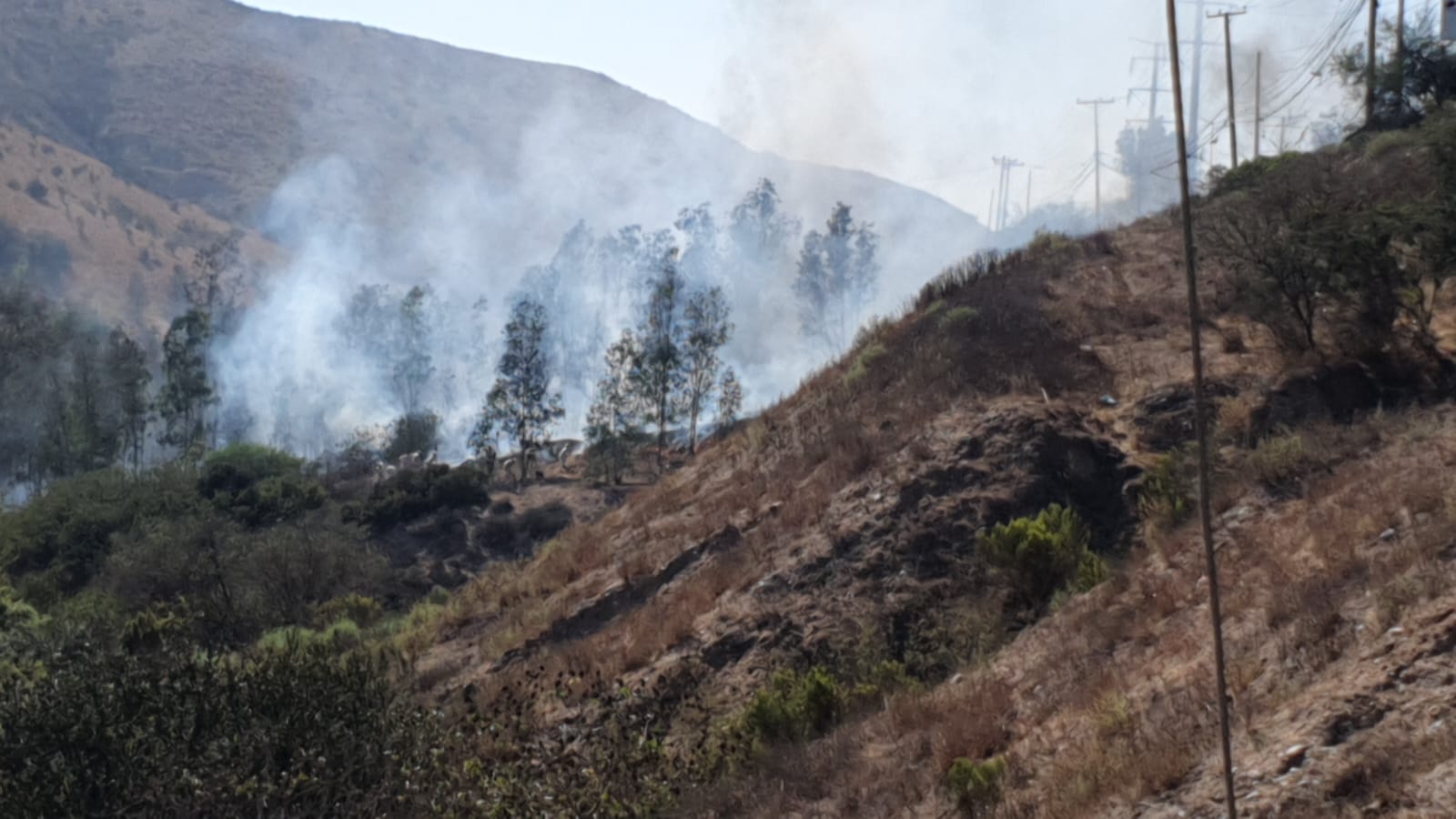 Consumen llamas campo de entrenamiento militar #VÍDEO