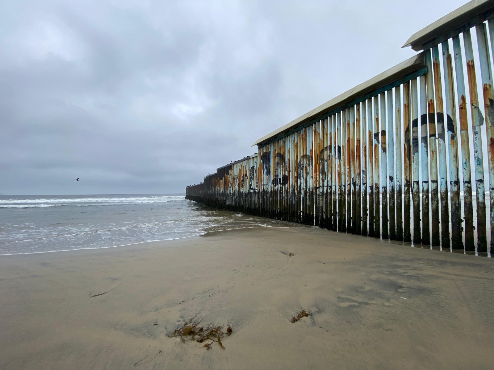 Búsqueda binacional: Presuntamente migrante intenta cruzar el muro por el mar