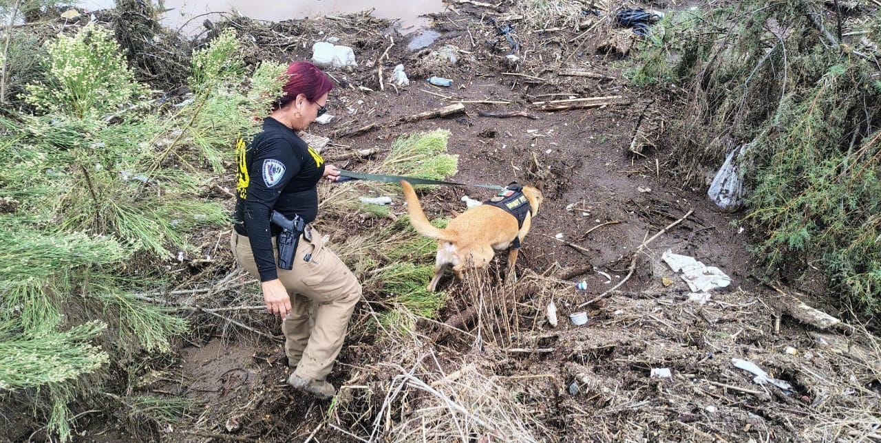 Sube a siete desaparecidos en Ensenada tras tormenta “Rachel”