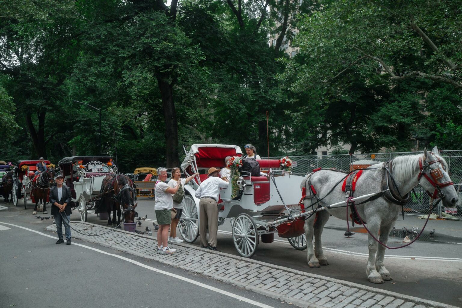 Nueva York busca retirar los carruajes de caballos de Central Park en 2028