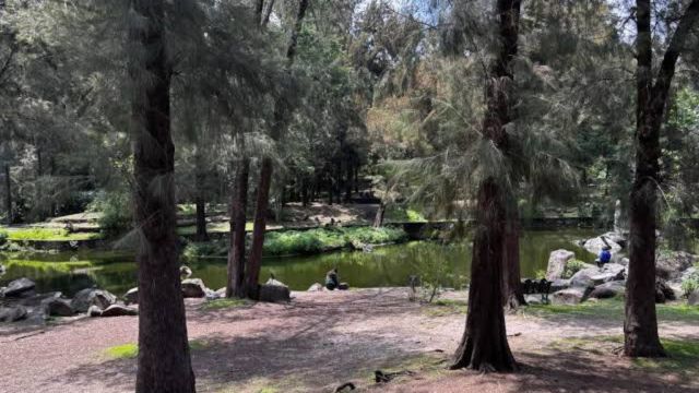 DURANGO: Asociación civil cuestiona contrato para mantenimiento de parques y exige transparencia
